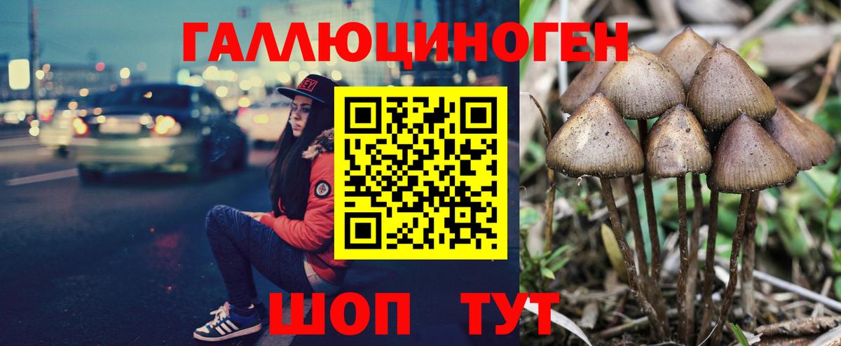 Псилоцибиновые грибы Magic Shrooms  где можно купить наркотик  Сегежа  Вход с VPN 