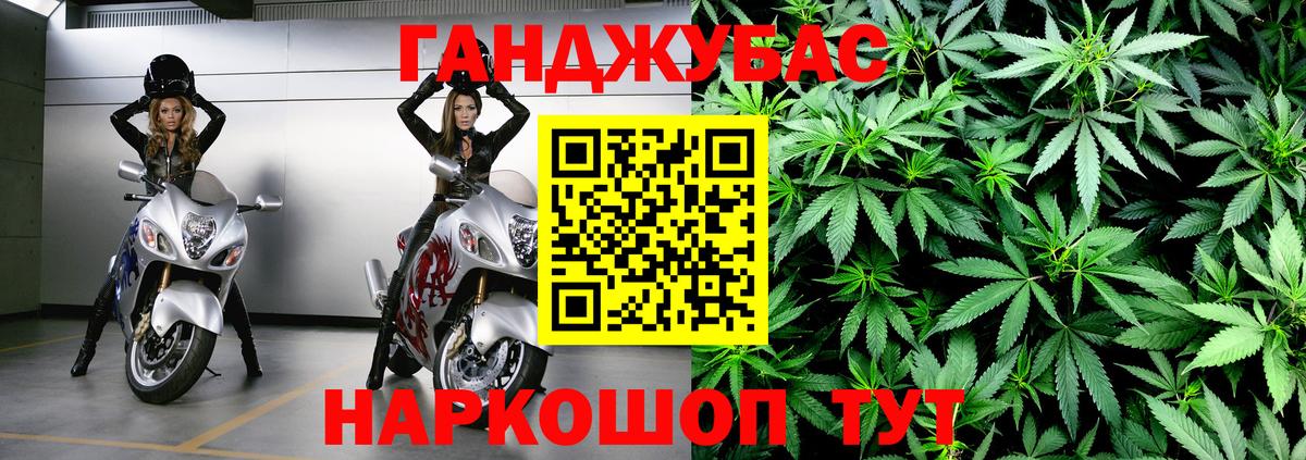 Бошки Шишки конопля Сегежа